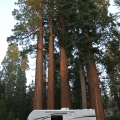 Sequoia National Park onder vuur