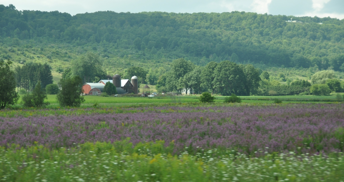 finger lakes new york heiditravelsusa.nl