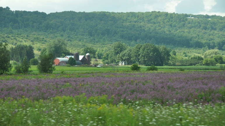 finger lakes new york heiditravelsusa.nl