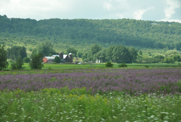 finger lakes new york heiditravelsusa.nl