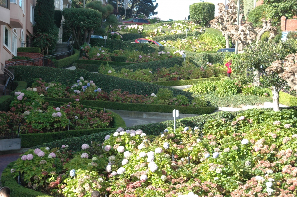 San Francisco Lombard Street heiditravelsusa.nl