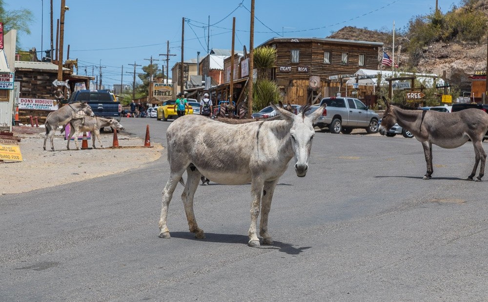 spookstadje Oatman heiditravelsusa.nl