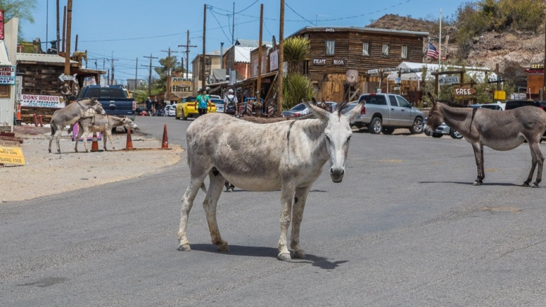 spookstadje Oatman heiditravelsusa.nl