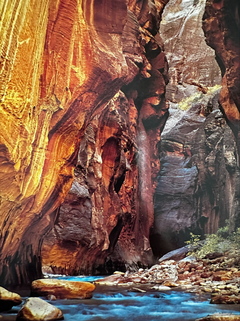 The Narrows Zion National Park Heiditravelsusa.nl